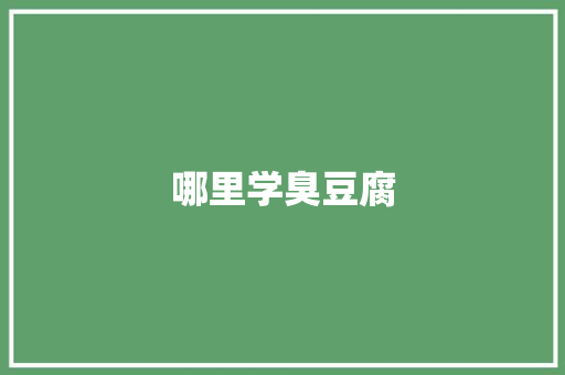 哪里学臭豆腐