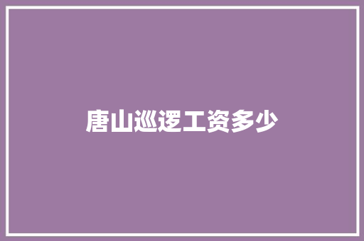 唐山巡逻工资多少