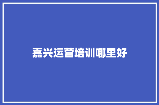 嘉兴运营培训哪里好
