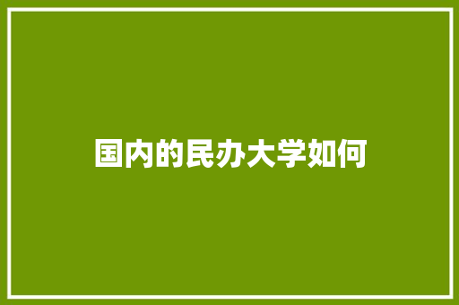 国内的民办大学如何
