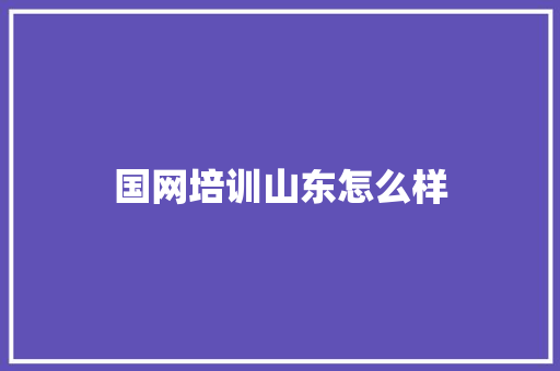 国网培训山东怎么样