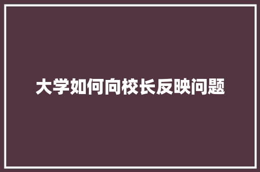 大学如何向校长反映问题