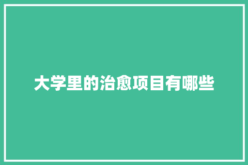 大学里的治愈项目有哪些