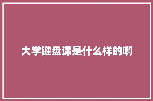 大学键盘课是什么样的啊
