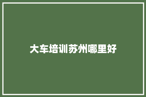 大车培训苏州哪里好