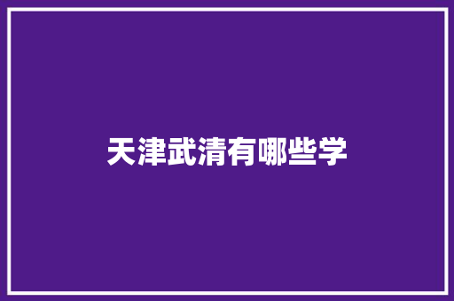 天津武清有哪些学