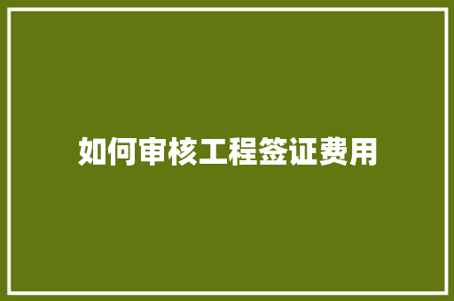 如何审核工程签证费用