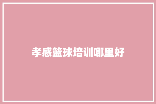 孝感篮球培训哪里好