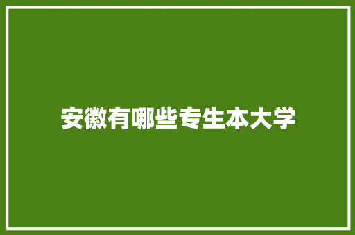 安徽有哪些专生本大学