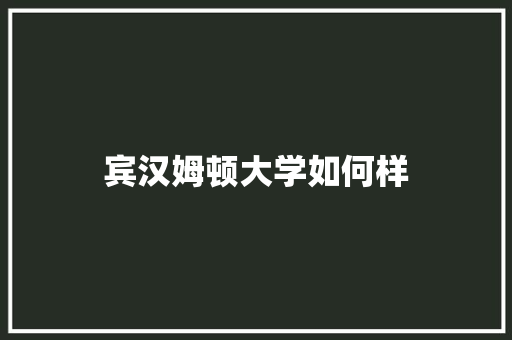 宾汉姆顿大学如何样