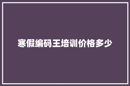 寒假编码王培训价格多少