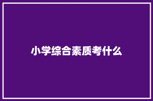 小学综合素质考什么