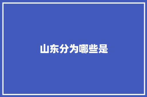 山东分为哪些是