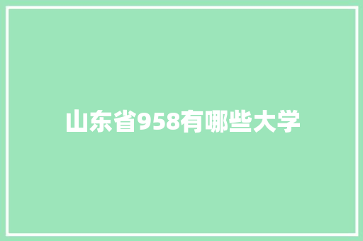 山东省958有哪些大学