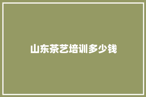 山东茶艺培训多少钱