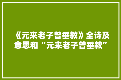 《元来老子曾垂教》全诗及意思和“元来老子曾垂教”的拼音注释