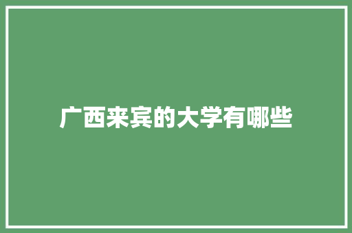 广西来宾的大学有哪些