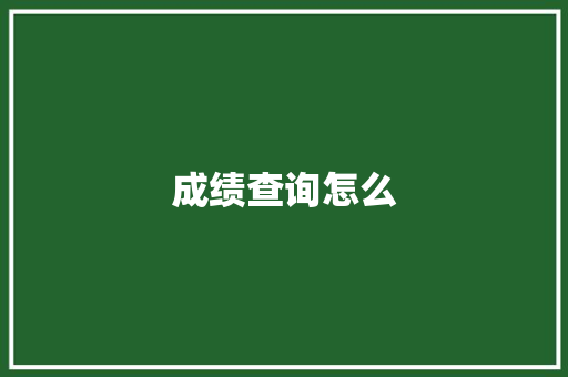 成绩查询怎么