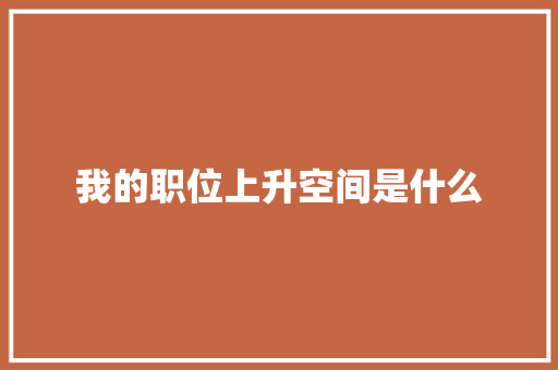 我的职位上升空间是什么 社交媒体