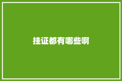 挂证都有哪些啊