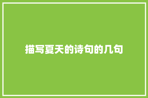 描写夏天的诗句的几句