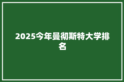 2025今年曼彻斯特大学排名