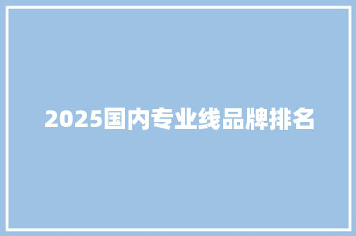 2025国内专业线品牌排名
