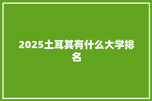 2025土耳其有什么大学排名