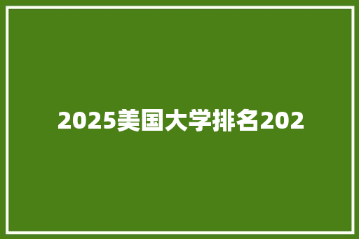 2025美国大学排名202