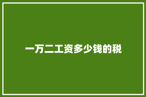 一万二工资多少钱的税