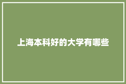 上海本科好的大学有哪些