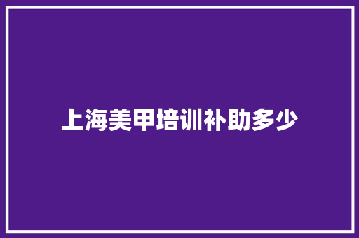 上海美甲培训补助多少