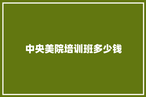 中央美院培训班多少钱