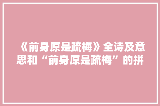 《前身原是疏梅》全诗及意思和“前身原是疏梅”的拼音注释