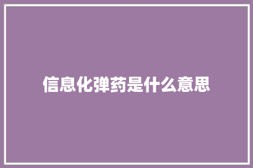 信息化弹药是什么意思