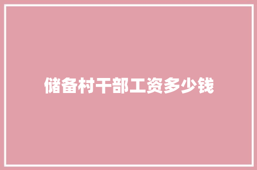 储备村干部工资多少钱