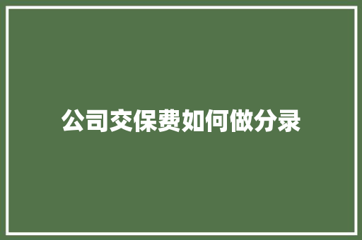 公司交保费如何做分录
