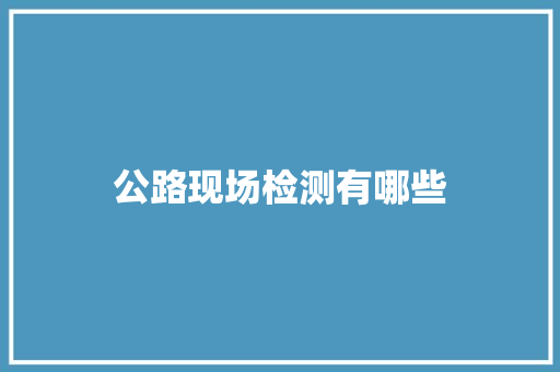 公路现场检测有哪些
