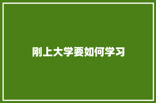 刚上大学要如何学习