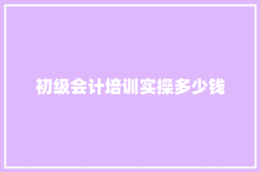 初级会计培训实操多少钱