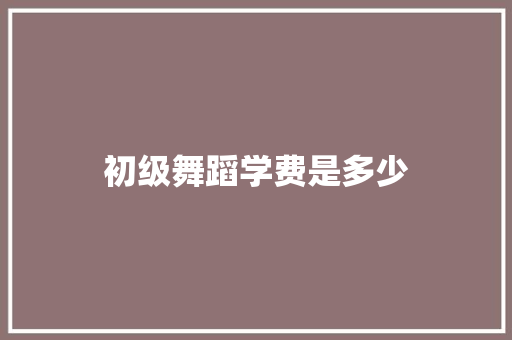 初级舞蹈学费是多少 工作总结