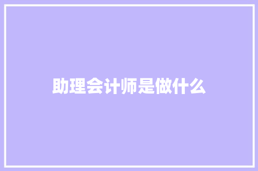 助理会计师是做什么 应用文
