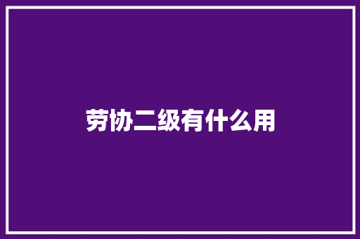 劳协二级有什么用