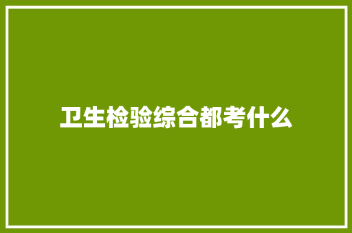 卫生检验综合都考什么