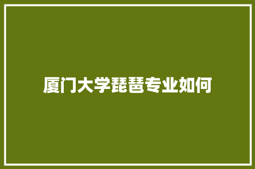 厦门大学琵琶专业如何