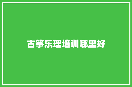 古筝乐理培训哪里好