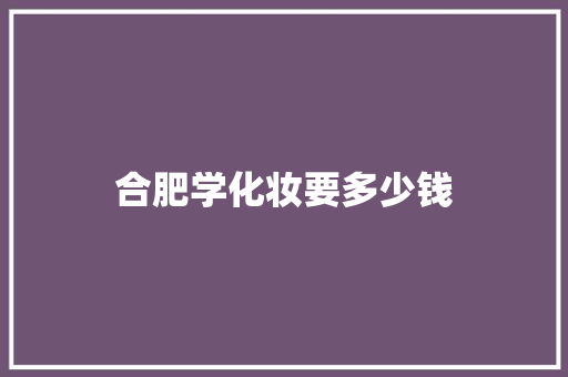 合肥学化妆要多少钱