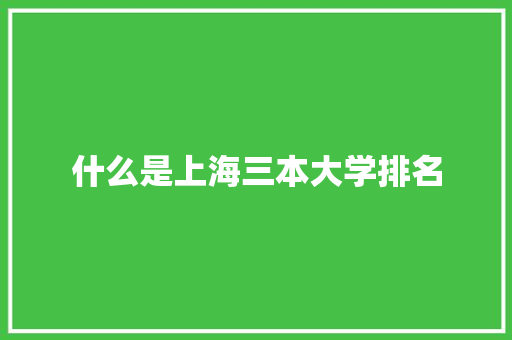 什么是上海三本大学排名