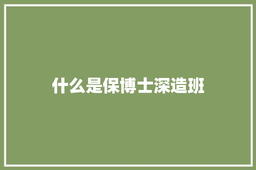 什么是保博士深造班