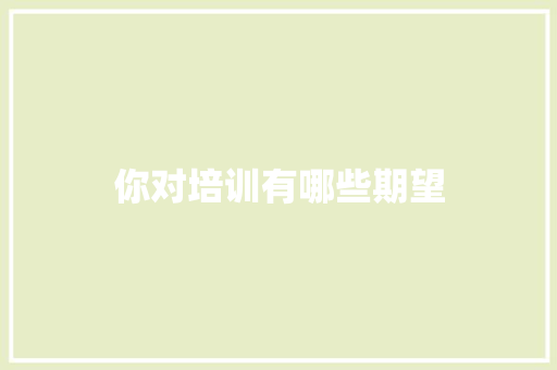 你对培训有哪些期望
